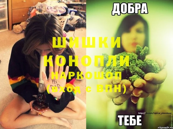 ALPHA PVP Баксан