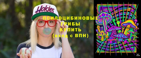дмт Осташков
